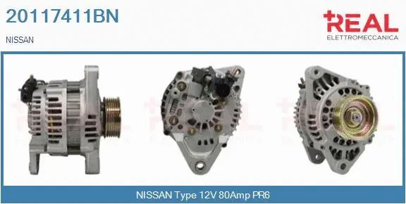 Alternator (20117411BN)