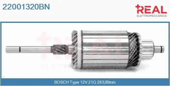 Armature, starter (22001320BN)