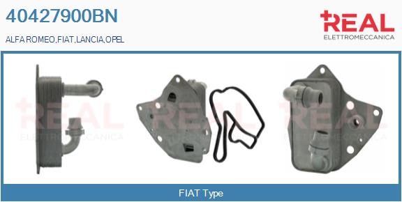 Oil Cooler, engine oil (40427900BN)