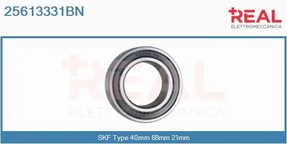 Bearing (25613331BN)