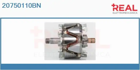 Rotor, alternator (20750110BN)