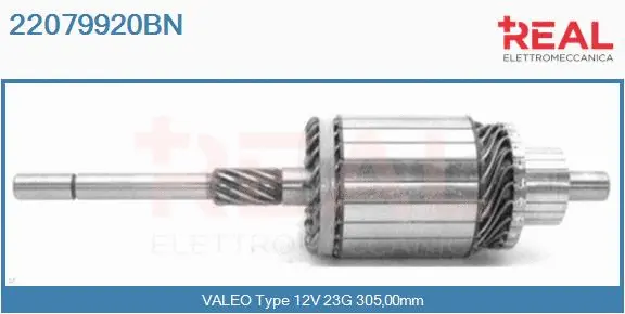 Armature, starter (22079920BN)