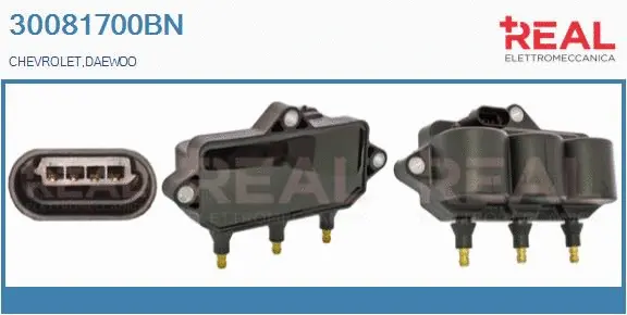 Ignition Coil (30081700BN)