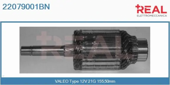 Armature, starter (22079001BN)