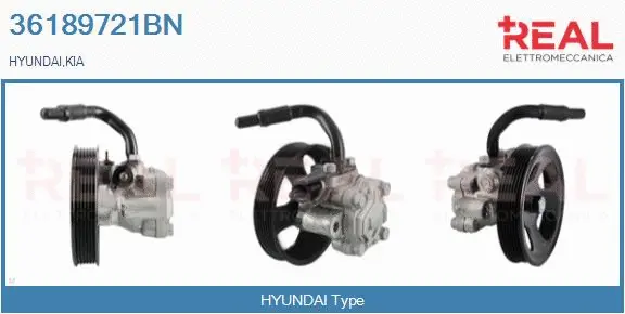 Hydraulic Pump, steering (36189721BN)