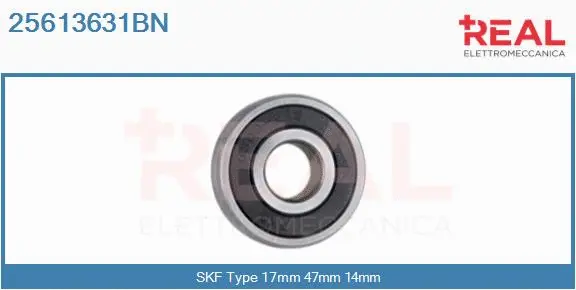 Bearing (25613631BN)