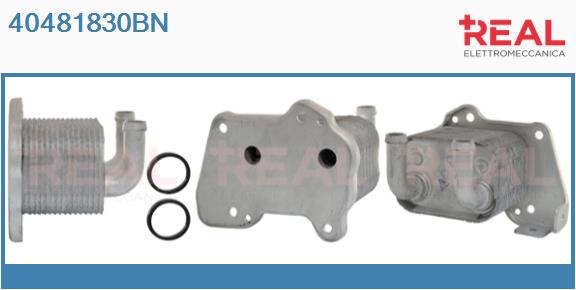 Oil Cooler, engine oil (40481830BN)