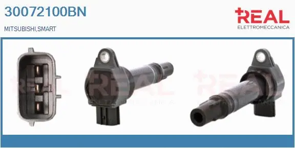 Ignition Coil (30072100BN)