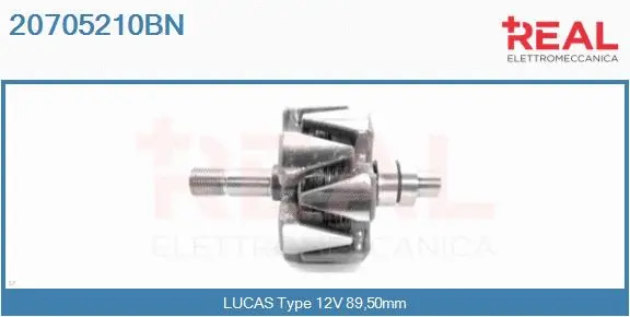 Rotor, alternator (20705210BN)