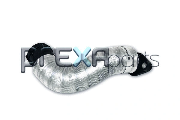Radiator Hose (P226095)