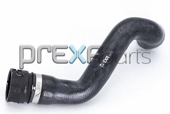 Radiator Hose (P226218)