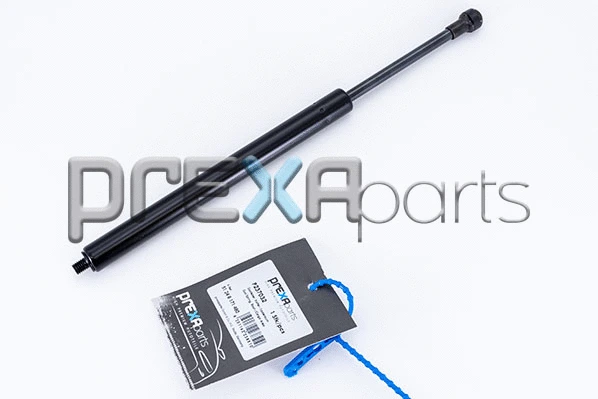 Gas Spring, boot/cargo area