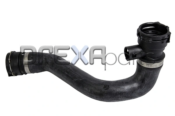 Radiator Hose (P226028)