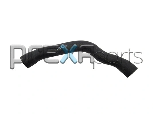 Radiator Hose (P326059)