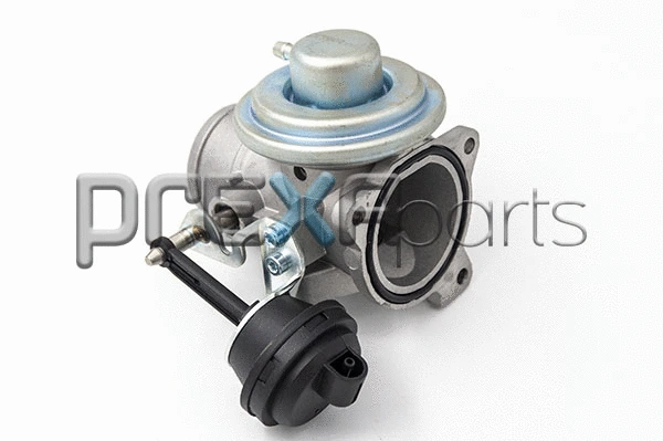 EGR Valve (P116019)