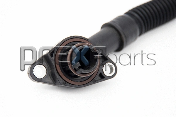 Hose, crankcase ventilation