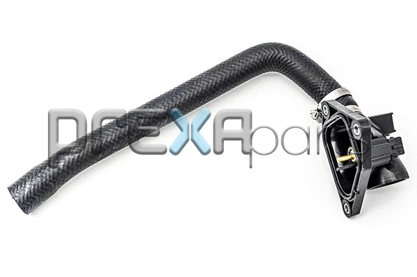 Radiator Hose (P226385)