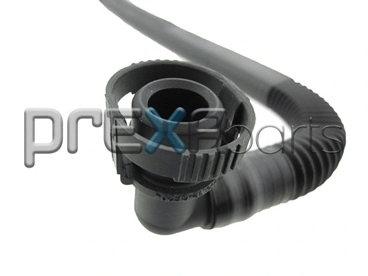 Hose, crankcase ventilation