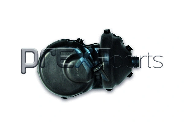 Valve, crankcase ventilation (P229024)