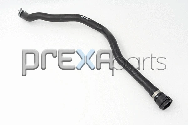 Radiator Hose (P226534)