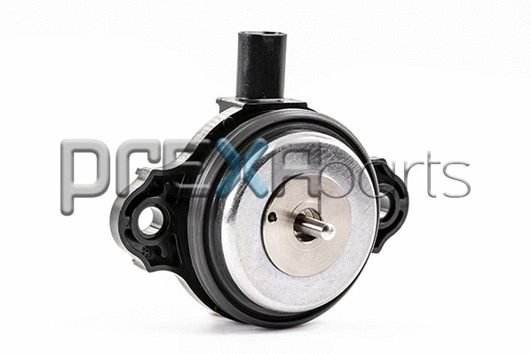 Central Magnet, camshaft adjustment (P219015)