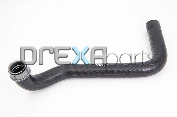 Radiator Hose (P126434)