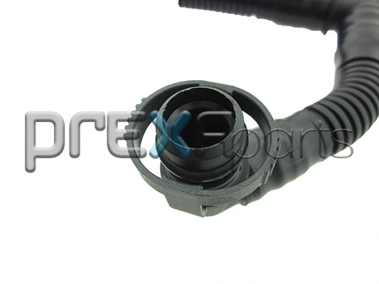 Hose, crankcase ventilation