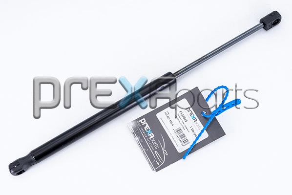 Gas Spring, boot/cargo area