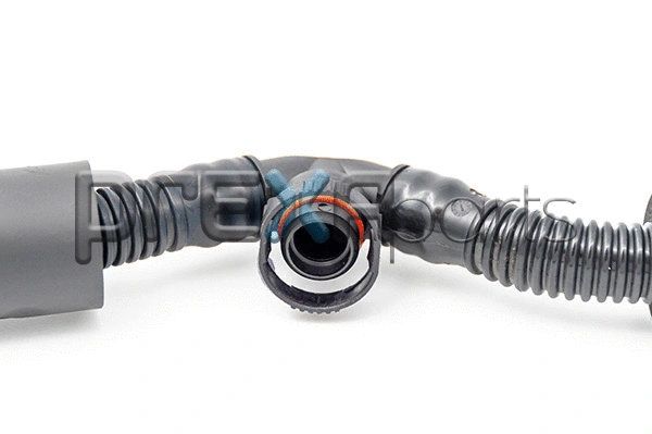 Hose, crankcase ventilation