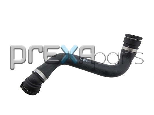 Radiator Hose (P226152)