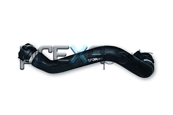 Radiator Hose (P226023)