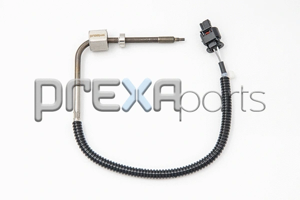 Sensor, exhaust gas temperature (P302007)