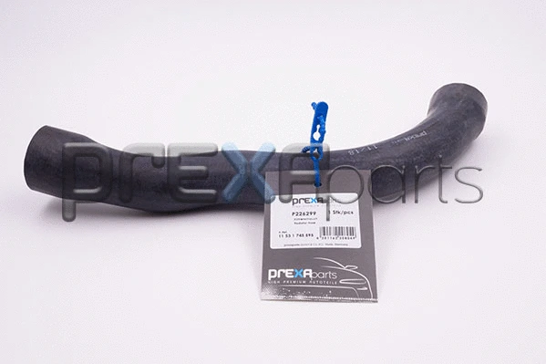 Radiator Hose (P226299)