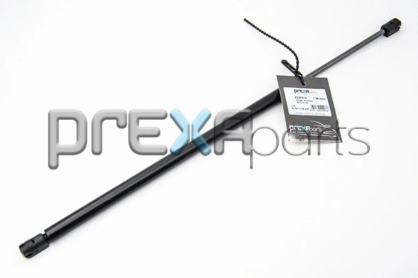 Gas Spring, boot/cargo area