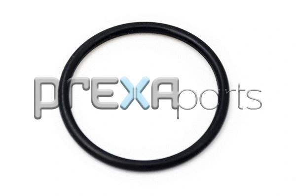 Coolant Flange