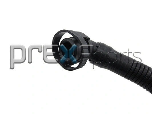 Hose, crankcase ventilation