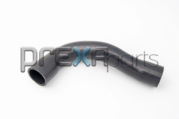 Radiator Hose (P226080)
