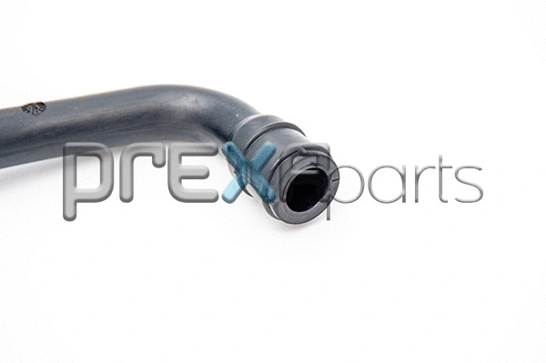 Hose, cylinder head cover ventilation