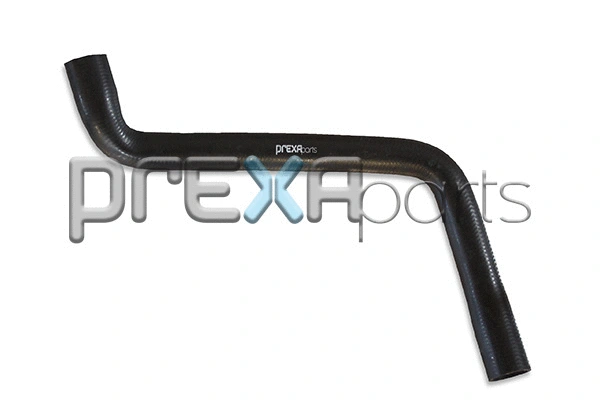 Radiator Hose (P126021)
