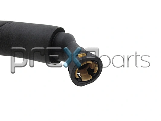 Hose, crankcase ventilation