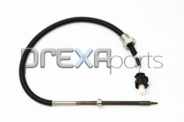 Sensor, exhaust gas temperature (P304046)