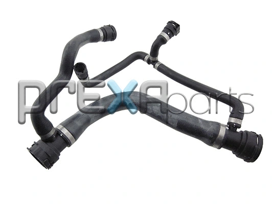 Radiator Hose (P226037)