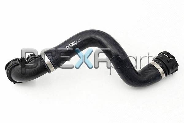 Radiator Hose (P226031)