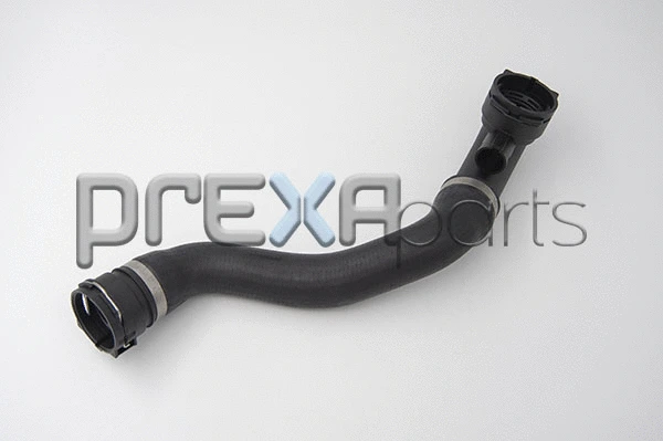 Radiator Hose (P226032)