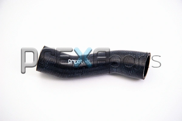 Radiator Hose (P226712)