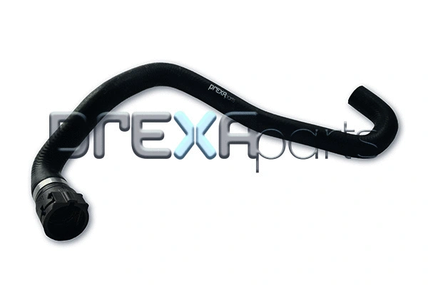 Radiator Hose (P226049)