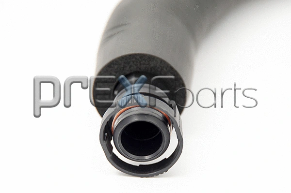 Hose, crankcase ventilation