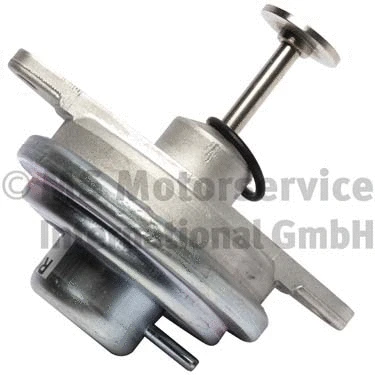 EGR Valve (R620038)