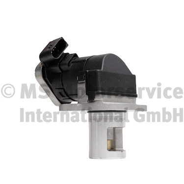 EGR Valve (R620024)