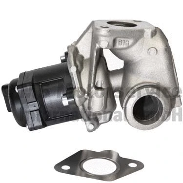 EGR Valve (R620016)